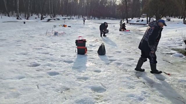 !7 марта запуск 40 кг. Форели смотреть онлайн