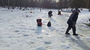 !7 марта запуск 40 кг. Форели