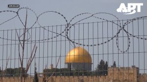 Израиль закрыл Аль-Аксу! Палестинцы молятся на улицах!