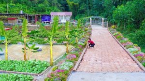 Разбиваю полукруглые цветочные клумбы и сажаю цветы по обеим сторонам дороги. Серия 56. Ли Фук Ви