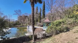 Музыка Советская Прогноз погоды Сочи Дендрарий