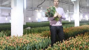 САМА САДИК Я САЖАЛА,САМА БУДУ ПОЛИВАТЬ