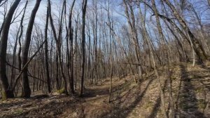 Новый трейл без имени. Собер байкпарк.