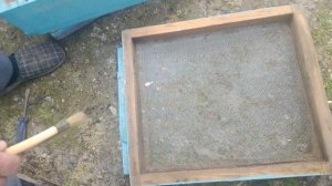 ульи из пенополистирола (пенопласта)