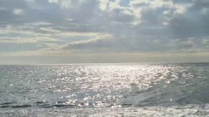 Музыка СССР Прогноз погоды Сочи