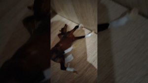 Шляйх клип(печенька)