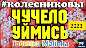 Колесниковы _Чучело, уймись, уже противно _Обзор Влогов _7-Я Колесниковых _Деревенский дневник _