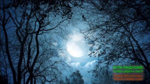 И СНОВА СЕДАЯ НОЧЬ...ЮРА ШАТУНОВ.//ВОСТОЧНЫЙ РЕМИКС//