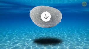 Почему никто не говорит о затонувшем континенте рядом с Антарктидой