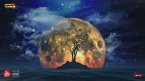 𝑺𝒚𝒍𝒗𝒊𝒐 💯 🄸 🄼🄸🅂🅂 🅈🄾🅄 🔥 🅂🅄🄼🄼🄴🅁 🄿🄰🅁🅃🅈 🄳🄰🄽🄲🄴 2️⃣0️⃣2️⃣6️⃣