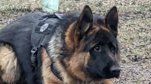 ТРЫНЬКА !!!)))