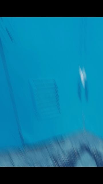 Эдит портала в роблокс