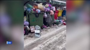 Уфимцы пожаловались на проблемы с вывозом мусора по улице Шафиева