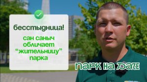 Парк на даче: платан - дерево, которое меняет кожу