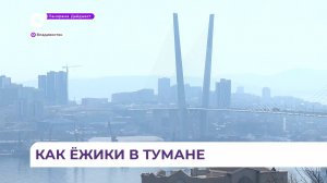 Смог от природных пожаров дошёл до Владивостока