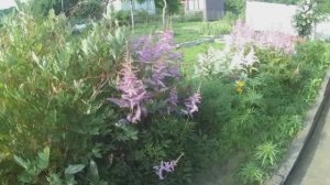 6 соток. Июнь + июль 2025 г