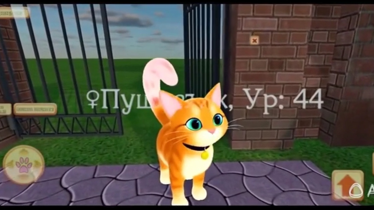 ЭТО CUTE POCKET CAT 3D Алиса