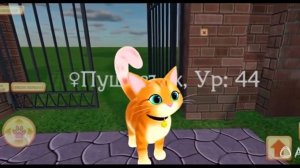 ЭТО CUTE POCKET CAT 3D Алиса