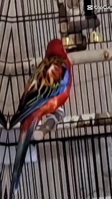 Поддежи и подпишись!