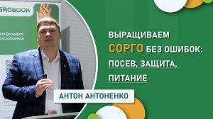 Выращиваем сорго без ошибок: посев, защита, питание