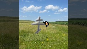 shadow Freddy....... kessedy.... I miss the old days and regret that everything on this channel end