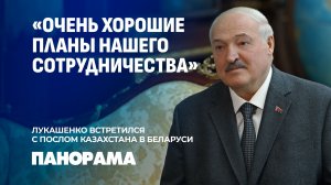 Президент Беларуси встретился с Чрезвычайным и Полномочным Послом Казахстана в Беларуси. Панорама