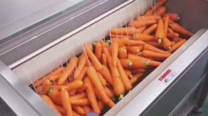 Машина мойки и чистки овощей VFFX-MSTP500 (пр-во Китай), (ООО "Владфризинг")