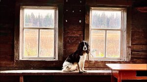 Одни в глуши. Установили печь. Пешком на таежную речку. Рыбалка. Уха на костре.