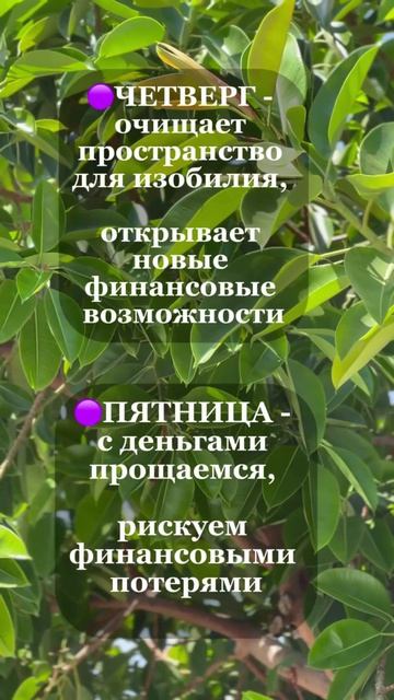 🟣🟢 Ваш дом — ваш банк:  ключ к приумножению денег.