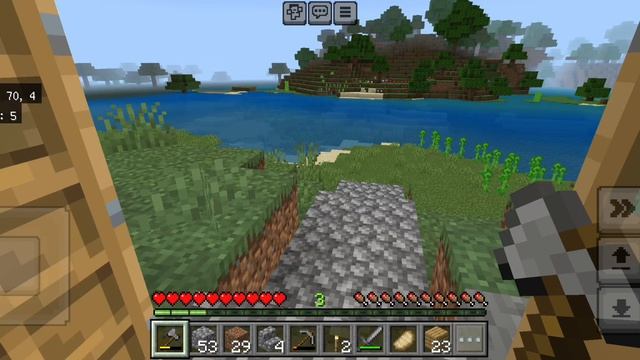 Играю в майн 1.81.21