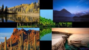 Alex Brynskich - Между небом и землей