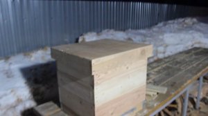 новенький улей