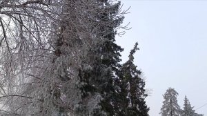 💃Прогуляла работу, врачи, грачи, встаём на лыжи 🌤️ 17.03.2026 Оренбург