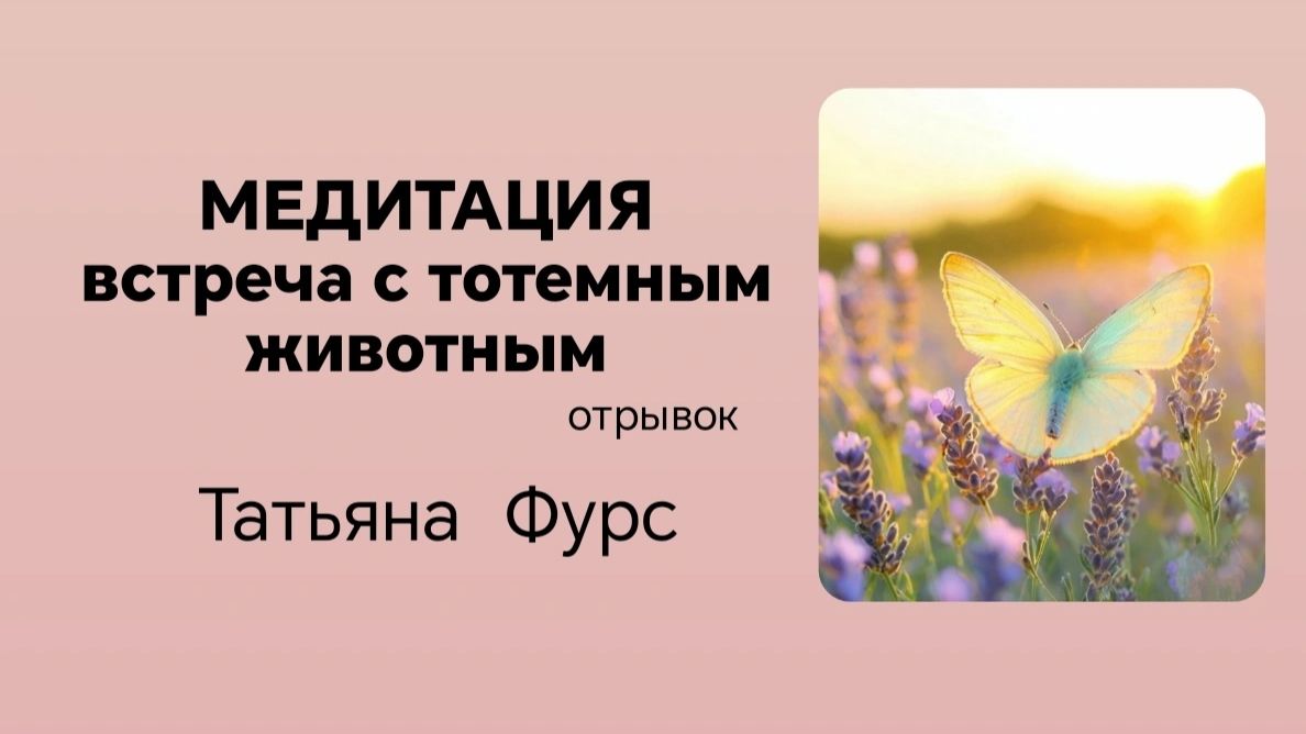 Медитация "встреча и знакомство с Тотемным животным"  отрывок апрель 24г Татьяна Фурс