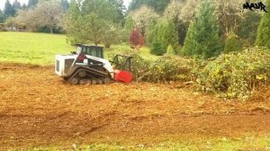 Bamboo Valley Forestry мульчирует заросли ежевики  дикими сливами и ивами.
