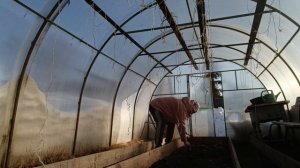 МОЮ ОКНА, ПОРАБОТАЛИ В ТЕПЛИЦЕ/СОЛЮ САЛО, ОБЕД НА ТЕРРАСЕ.