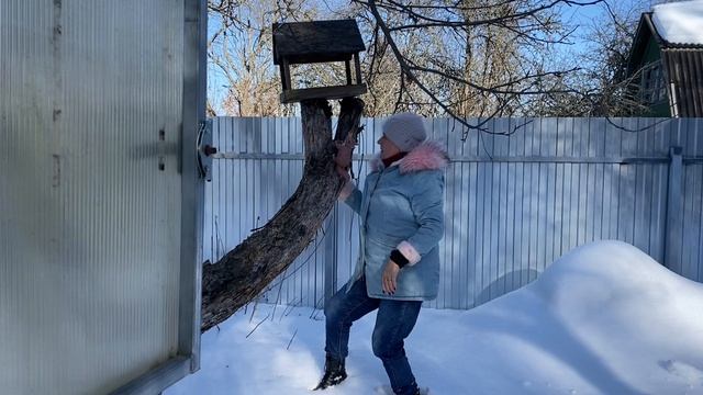 Дача в начале марта 2026