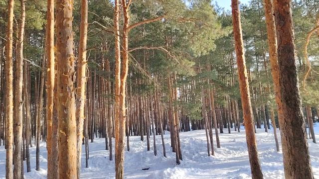 Работай больше и твой начальник купит себе новый особняк!