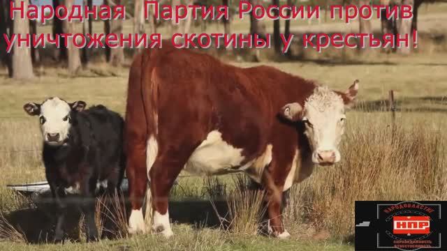 Уничтожение крестьянских хозяйств в Новосибирской области