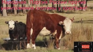 Уничтожение крестьянских хозяйств в Новосибирской области