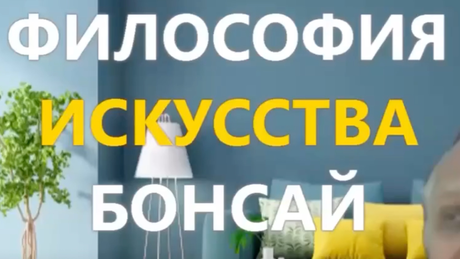 Философия искусства Бонсай