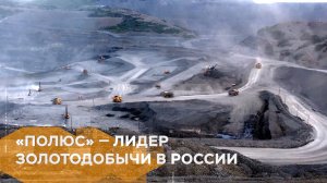 Золото — наша профессия