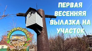 Новый строительный сезон. Планы на сезон. Обрезка деревьев