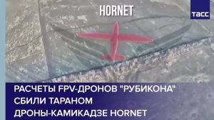 Расчеты FPV-дронов "Рубикона" сбили тараном дроны-камикадзе Hornet