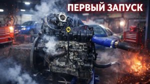 Как проверить кота в мешке