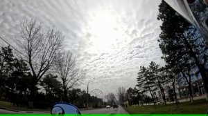 Анапа. 17.03.2026. Яндекс еда. Жду сезона!!! Что нового???