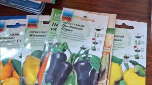 Купила семян почти задаром и ещё кое-что.