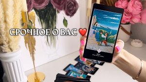 ✨срочное о вас✨❤️🌿🎁 таро расклад онлайн