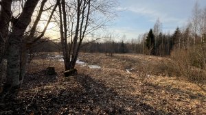 Вечер на хуторе близ Орловки