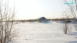 Специальный репортаж «Закон против балков: как Норильск решает проблему самовольных построек»